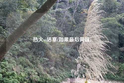 热火vs活塞(如果最后黄蜂)