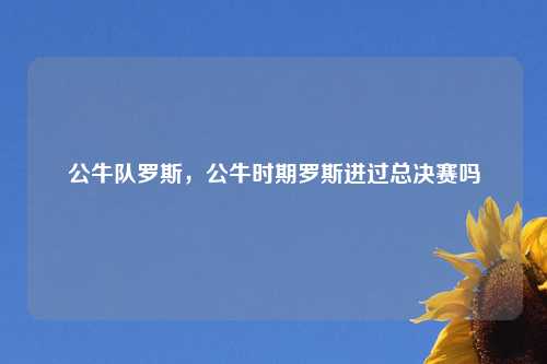 公牛队罗斯，公牛时期罗斯进过总决赛吗