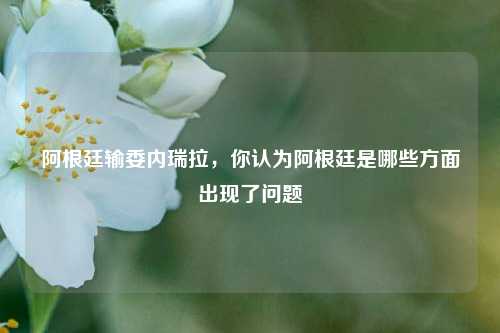 阿根廷输委内瑞拉，你认为阿根廷是哪些方面出现了问题