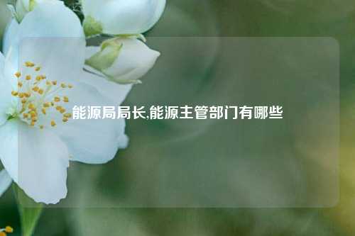 能源局局长,能源主管部门有哪些