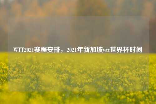 WTT2021赛程安排,2021年新加坡wtt世界杯时间