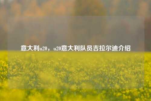 意大利u20,u20意大利队员吉拉尔迪介绍