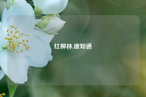 红柳林,谁知道