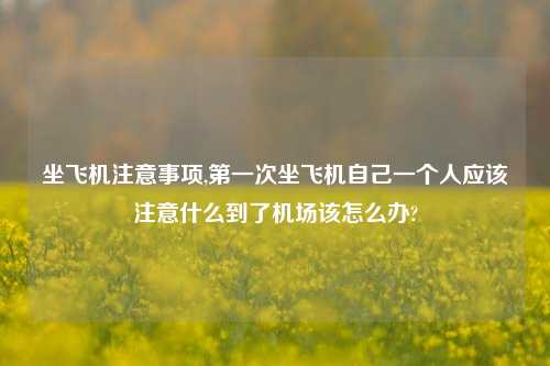 坐飞机注意事项,第一次坐飞机自己一个人应该注意什么到了机场该怎么办?