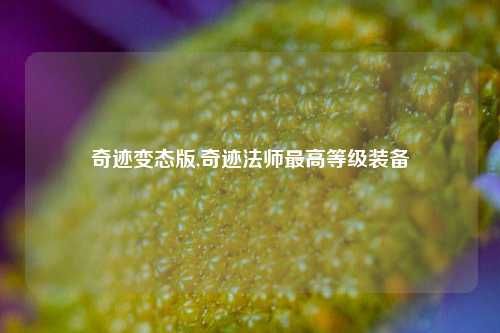 奇迹变态版,奇迹法师最高等级装备