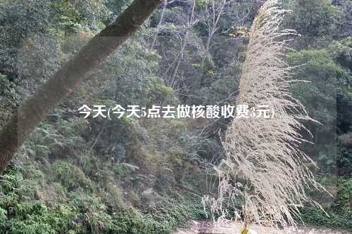 今天(今天5点去做核酸收费3元)