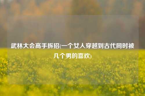 武林大会高手拆招(一个女人穿越到古代同时被几个男的喜欢)
