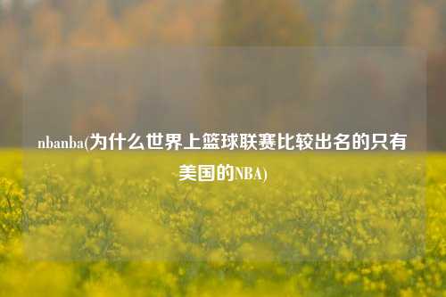 nbanba(为什么世界上篮球联赛比较出名的只有美国的NBA)