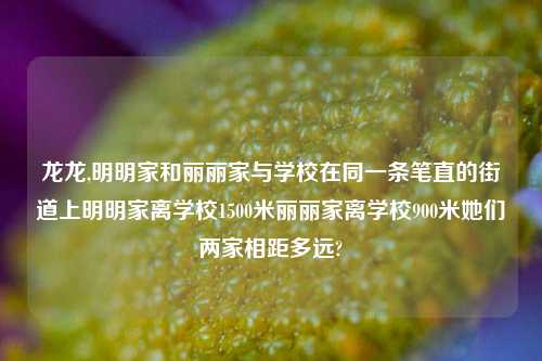 龙龙,明明家和丽丽家与学校在同一条笔直的街道上明明家离学校1500米丽丽家离学校900米她们两家相距多远?