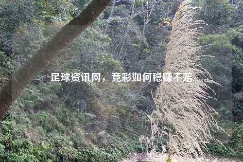 足球资讯网，竞彩如何稳赚不赔
