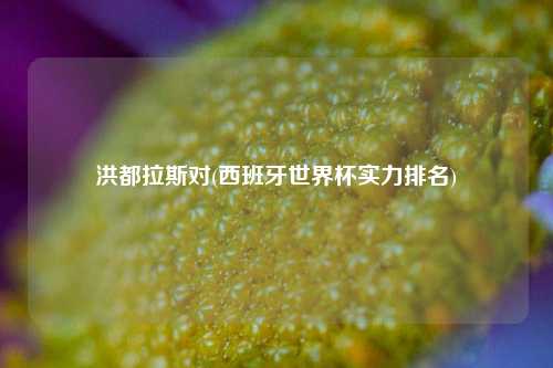 洪都拉斯对(西班牙世界杯实力排名)