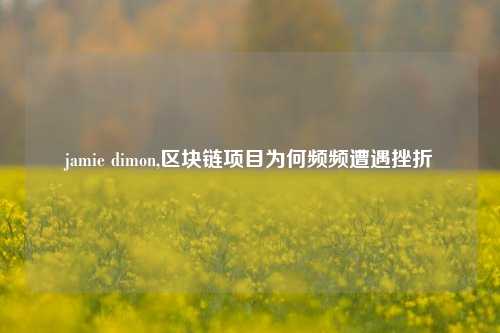 jamie dimon,区块链项目为何频频遭遇挫折
