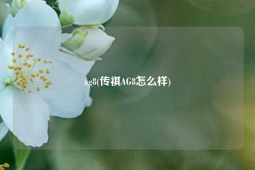 ag8(传祺AG8怎么样)