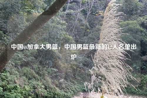 中国vs加拿大男篮，中国男篮最新的12人名单出炉