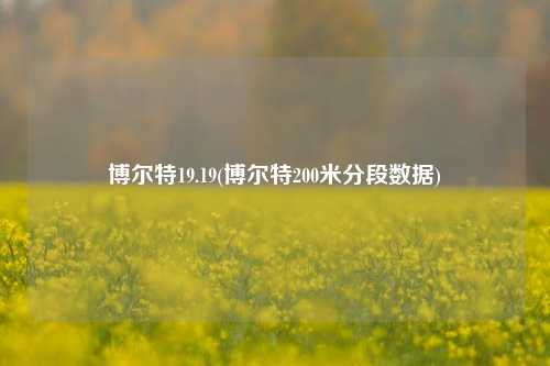 博尔特19.19(博尔特200米分段数据)