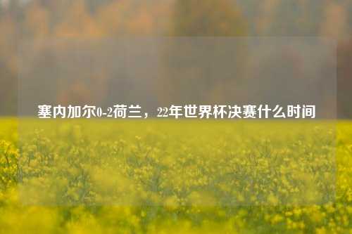 塞内加尔0-2荷兰，22年世界杯决赛什么时间