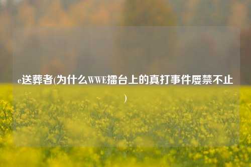 e送葬者(为什么WWE擂台上的真打事件屡禁不止)