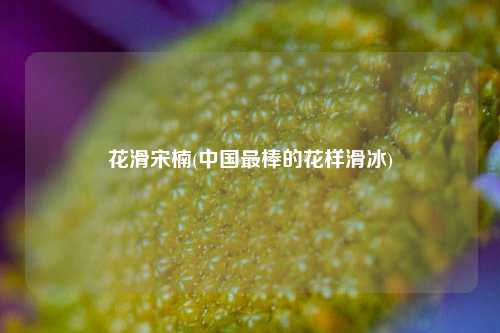 花滑宋楠(中国最棒的花样滑冰)