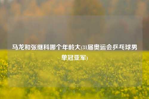 马龙和张继科哪个年龄大(31届奥运会乒乓球男单冠亚军)