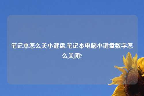 笔记本怎么关小键盘,笔记本电脑小键盘数字怎么关闭?