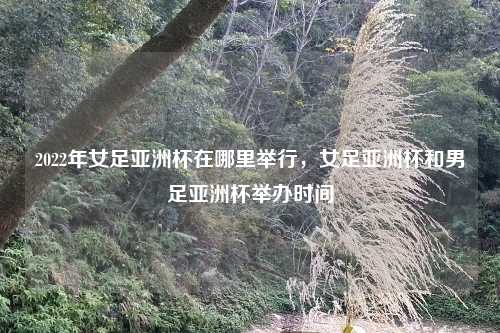 2022年女足亚洲杯在哪里举行,女足亚洲杯和男足亚洲杯举办时间