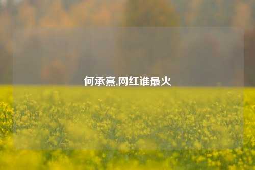 何承熹,网红谁最火