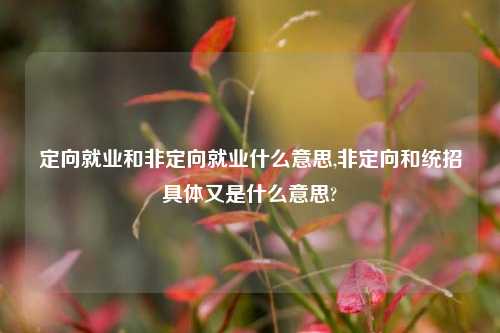 定向就业和非定向就业什么意思,非定向和统招具体又是什么意思?