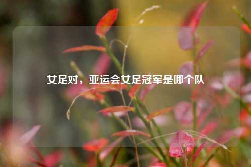 女足对，亚运会女足冠军是哪个队