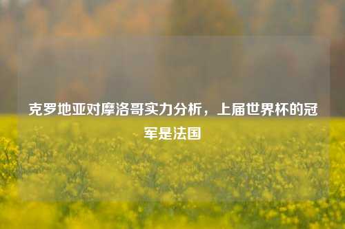 克罗地亚对摩洛哥实力分析,上届世界杯的冠军是法国