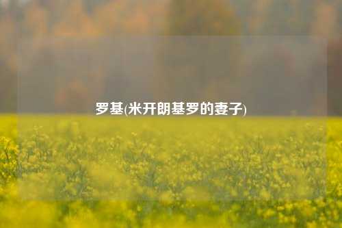 罗基(米开朗基罗的妻子)