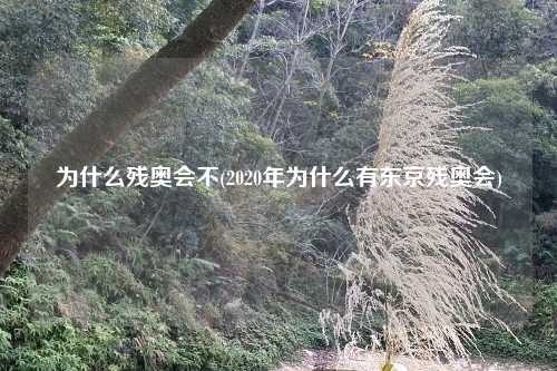 为什么残奥会不(2020年为什么有东京残奥会)