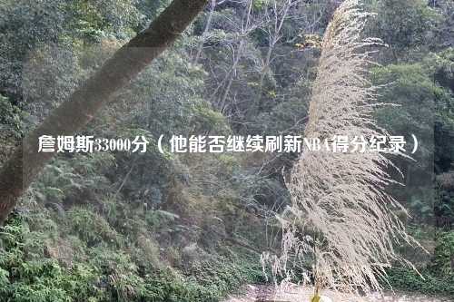 詹姆斯33000分(他能否继续刷新NBA得分纪录)