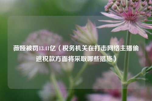 薇娅被罚13.41亿（税务机关在打击网络主播偷逃税款方面将采取哪些措施）