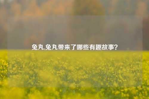 兔丸,兔丸带来了哪些有趣故事？