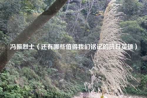 冯振烈士（还有哪些值得我们铭记的抗日英雄）