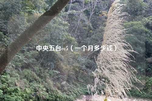 中央五台cc5(一个月多少钱)