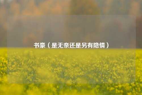 书豪(是无奈还是另有隐情)