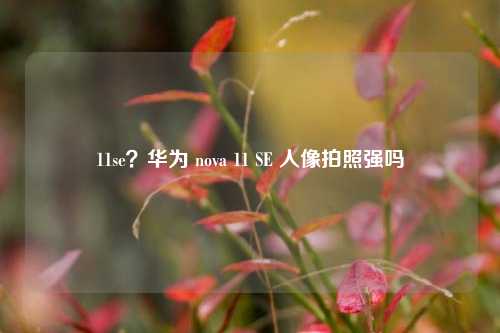 11se?华为 nova 11 SE 人像拍照强吗