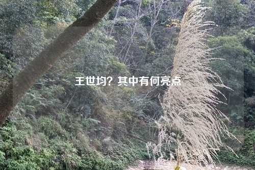 王世均?其中有何亮点