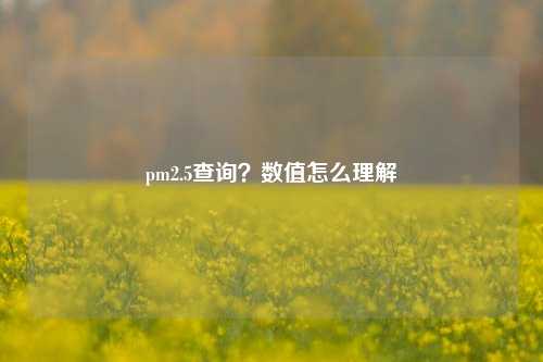 pm2.5查询?数值怎么理解