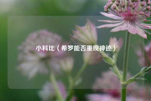 小科比（希罗能否重现神迹）