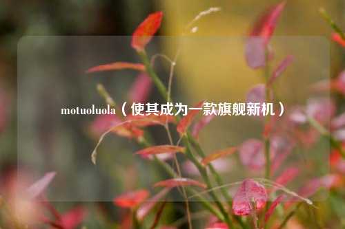motuoluola（使其成为一款旗舰新机）