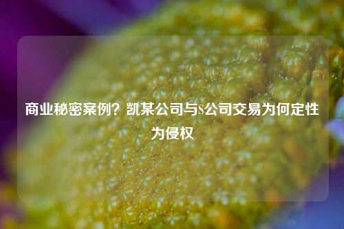 商业秘密案例?凯某公司与S公司交易为何定性为侵权