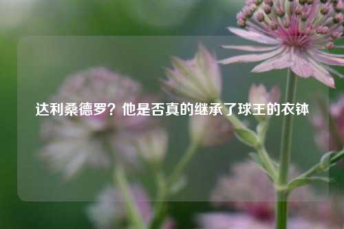 达利桑德罗？他是否真的继承了球王的衣钵