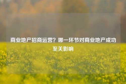 商业地产招商运营?哪一环节对商业地产成功至关影响