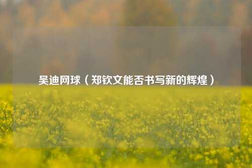 吴迪网球(郑钦文能否书写新的辉煌)