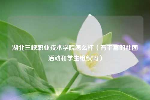 湖北三峡职业技术学院怎么样（有丰富的社团活动和学生组织吗）