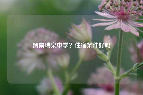 渭南瑞泉中学?住宿条件好吗