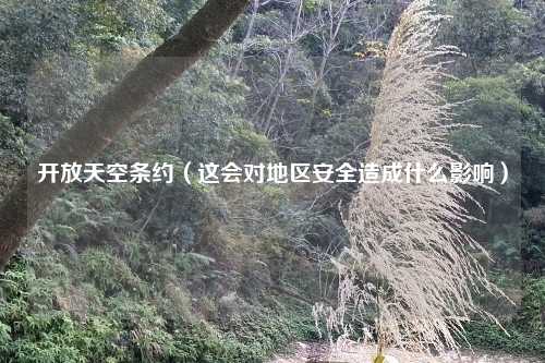 开放天空条约（这会对地区安全造成什么影响）