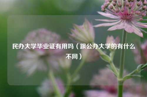 民办大学毕业证有用吗(跟公办大学的有什么不同)